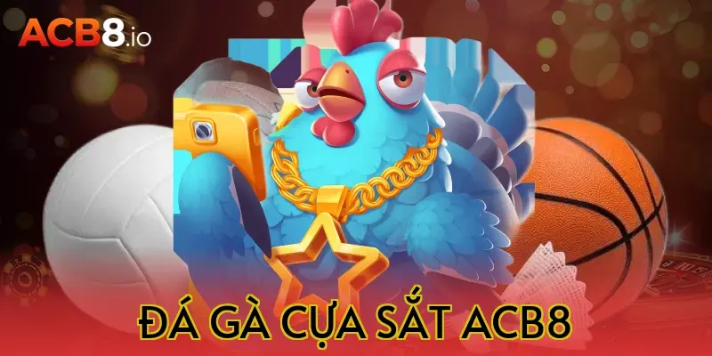 đá gà cựa sắt acb8