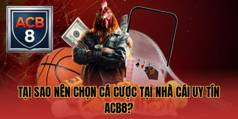 Tại sao nên chọn cá cược tại nhà cái uy tín ACB8?